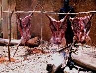 Mouton, fte de l'Aid al Kebir